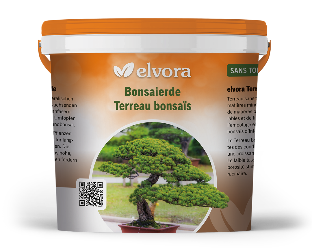 elvora Bonsaierde – Bild 2