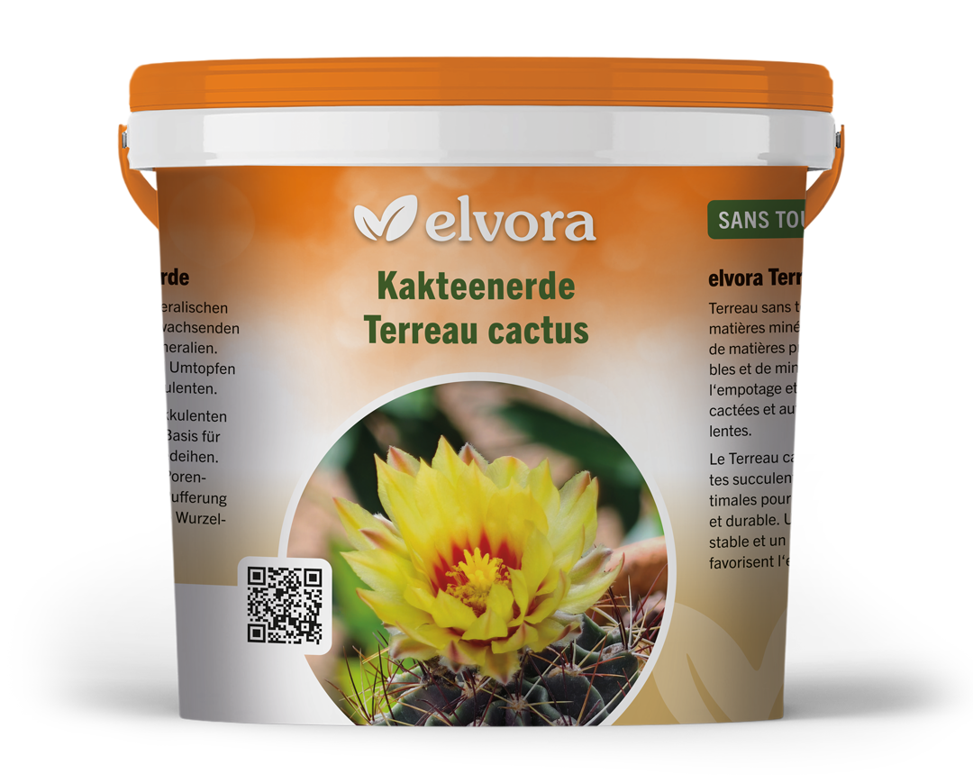 elvora Kakteenerde – Bild 2
