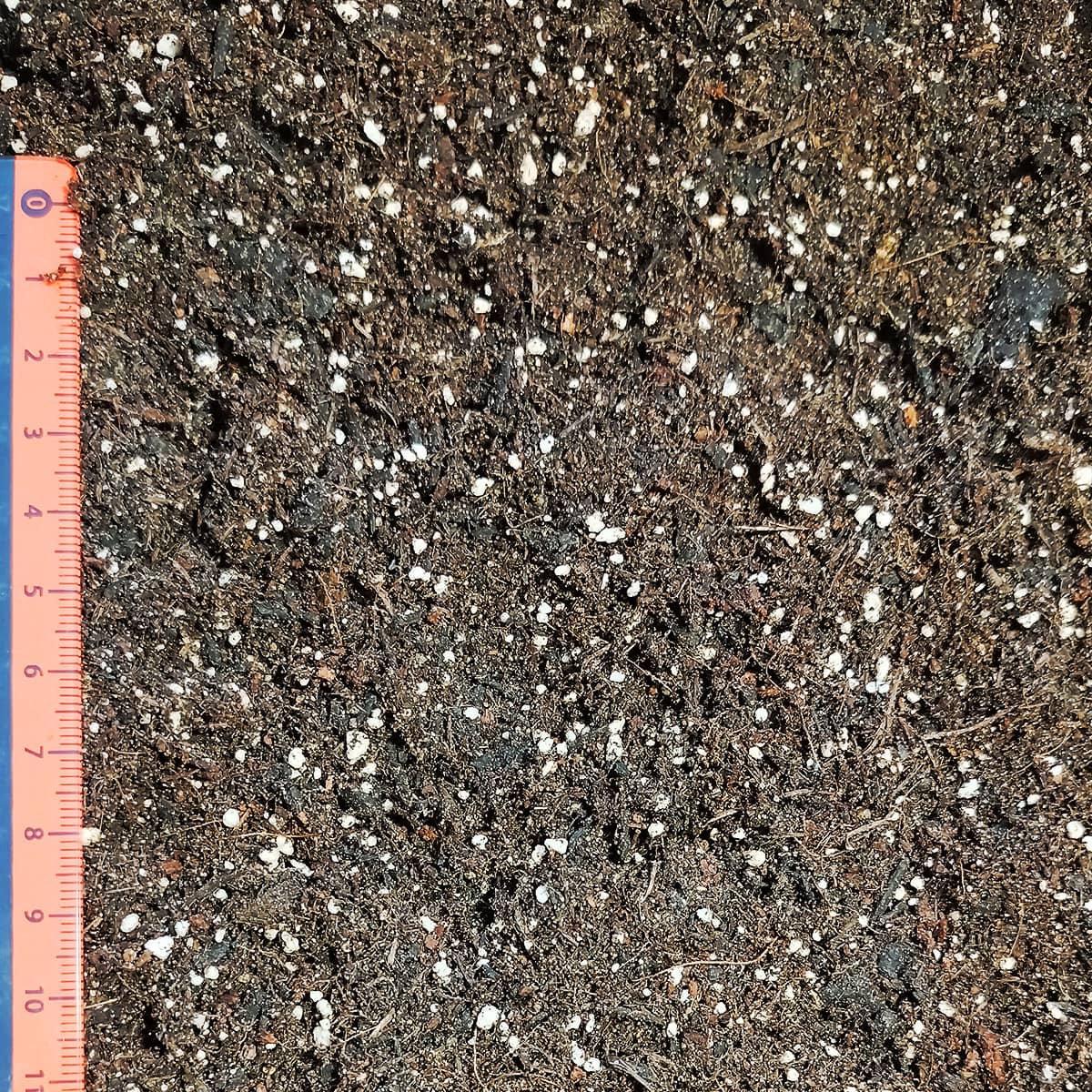 elvora Aussaaterde – Bild 2