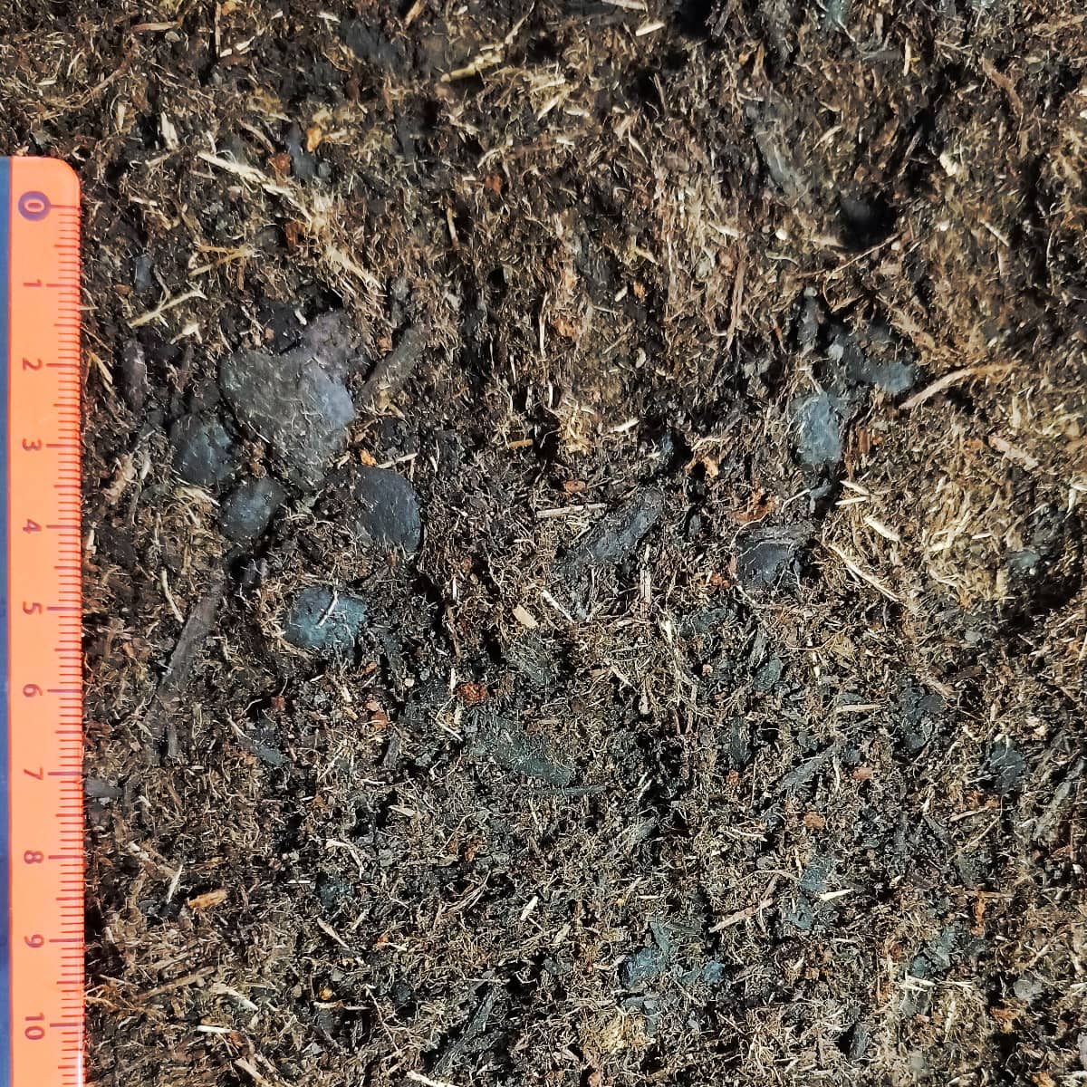 elvora Blumenerde – Bild 3