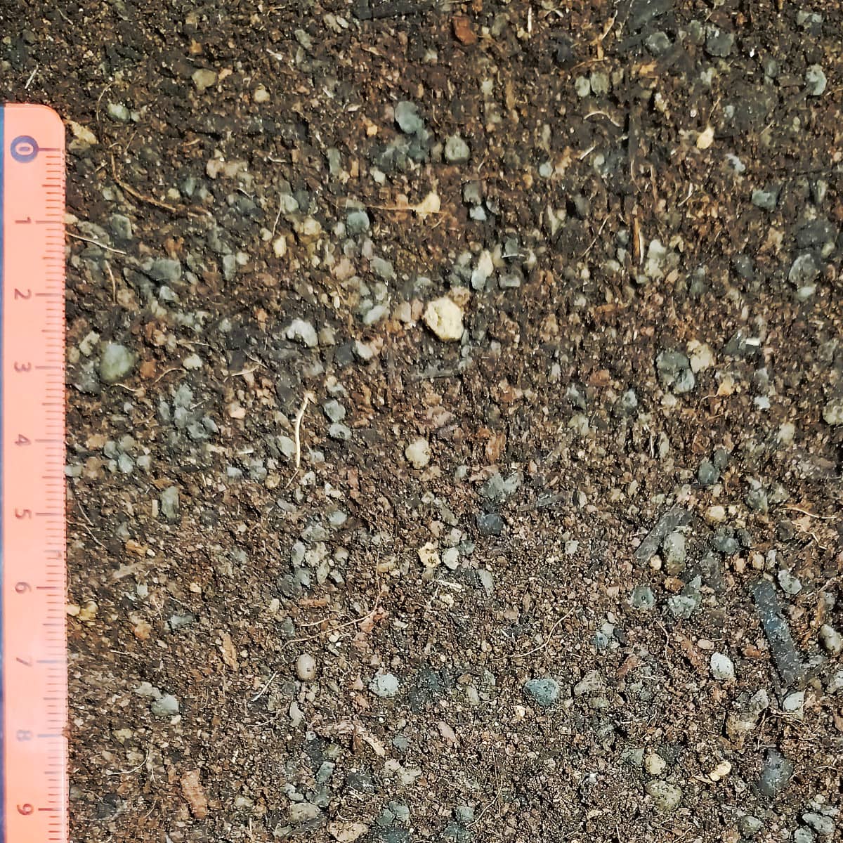 elvora Bonsaierde – Bild 3