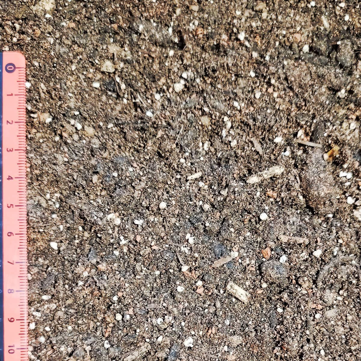 elvora Gartenerde – Bild 2