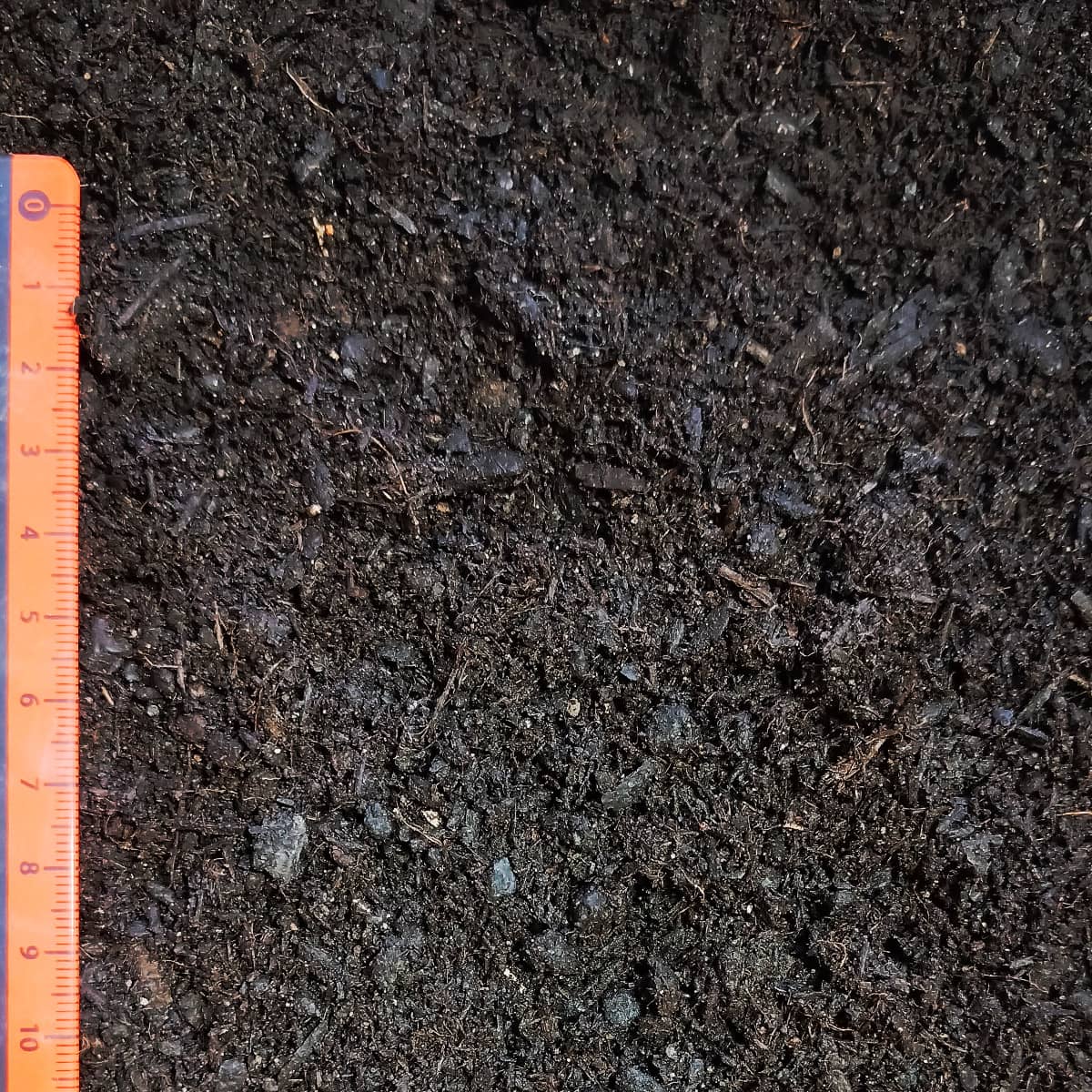 elvora Graberde – Bild 3